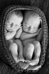 twin-newborn-baby-photography-2