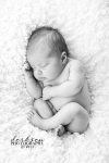 newborn-baby-photographer